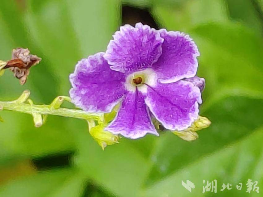 威尼斯线上娱乐场官网入口